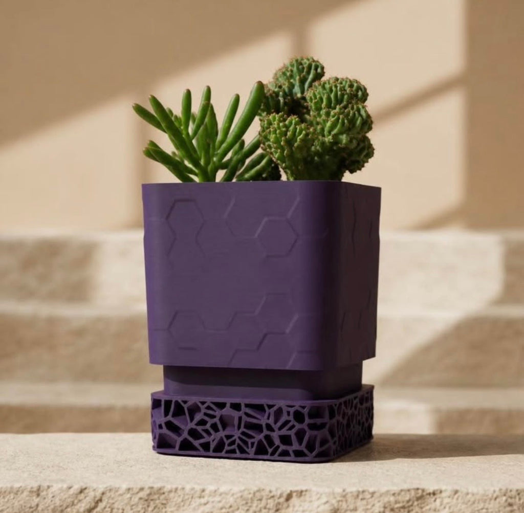 3D Printed Voronoi Planter Pot with Drainage Tray